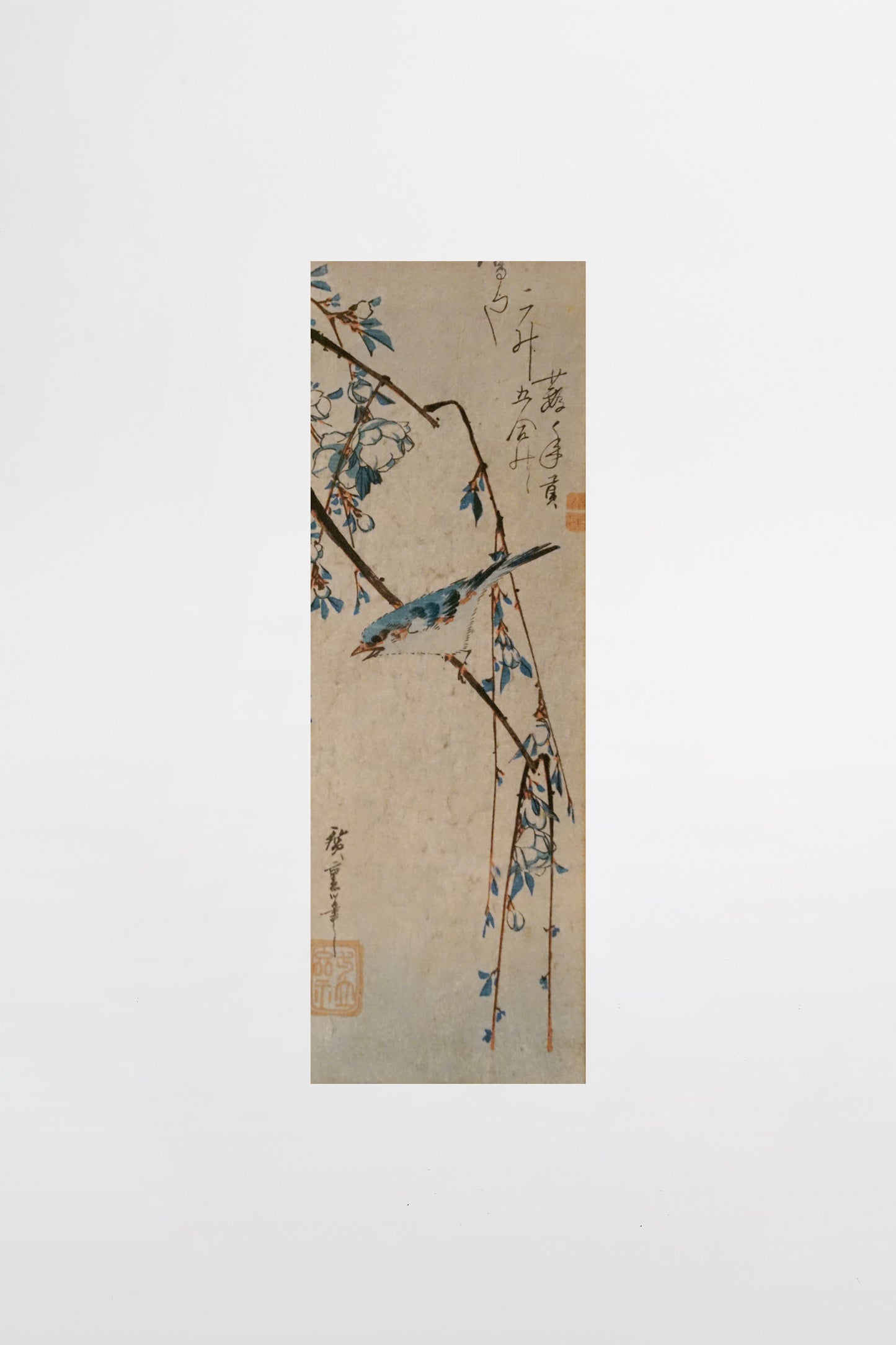 Utagawa Hiroshige: Rotflanken-Blauschwanz auf einem Kirschzweig – Japan, ca. 1848