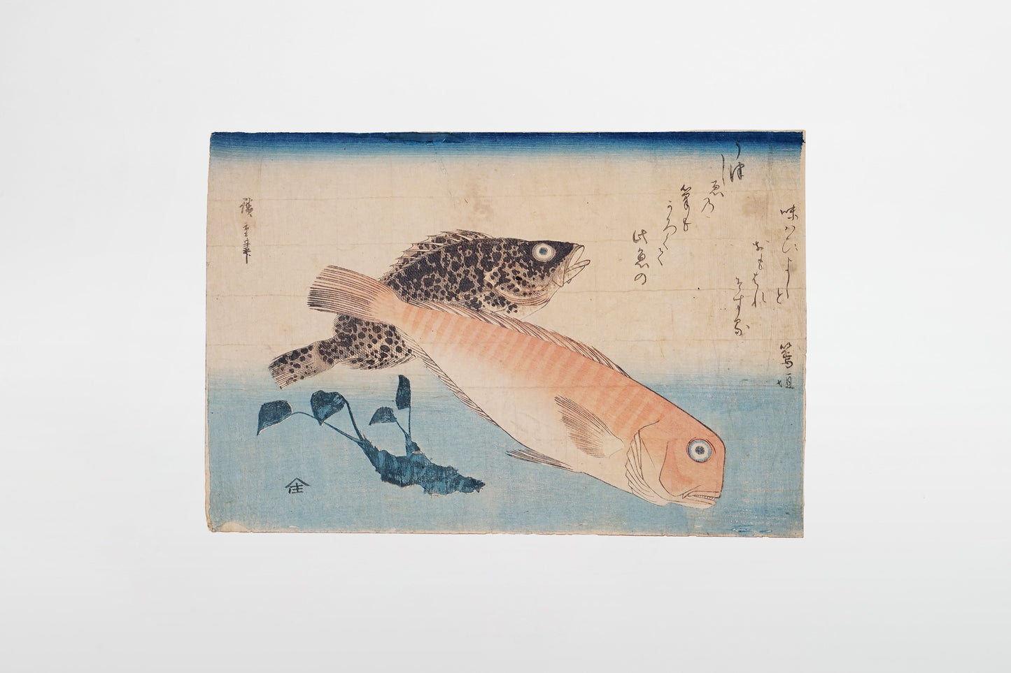 Utagawa Hiroshige: Tile Fish (Amadai), White Horsehead (Ishimochi) and Horseradish (Wasabi) – Japan, 19th century