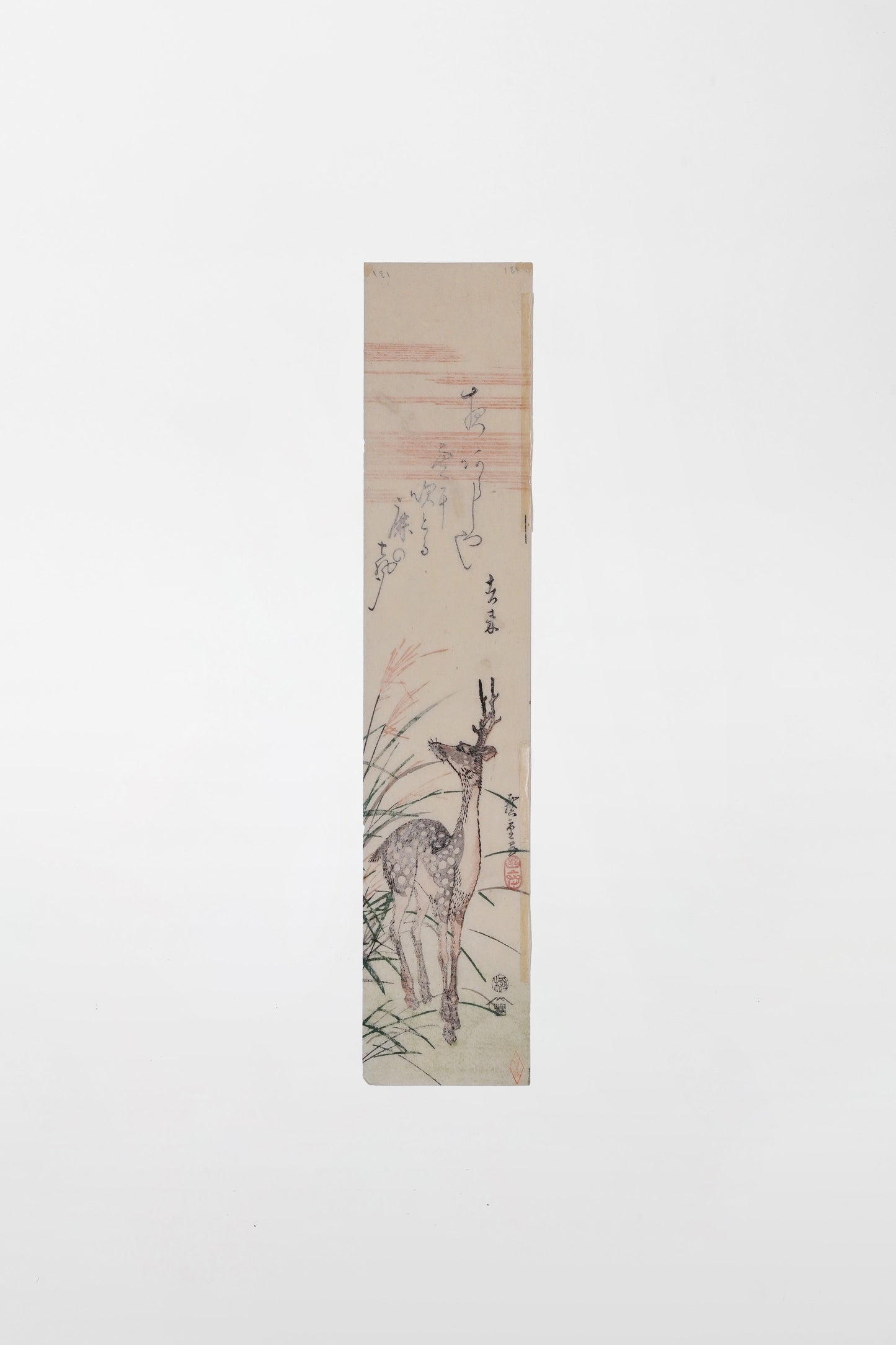 Autumnal stag with grass; Kakemono-e in surimono style – Japan, mid 19th century