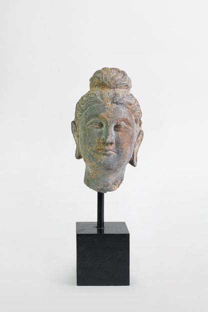 Gandharan-Buddha-Kopf – Indien, 2.–3. Jahrhundert