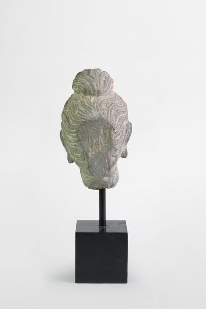 Gandharan-Buddha-Kopf – Indien, 2.–3. Jahrhundert