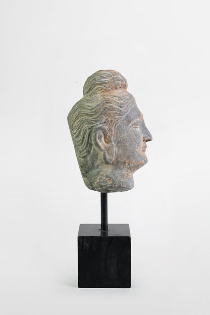 Gandharan-Buddha-Kopf – Indien, 2.–3. Jahrhundert