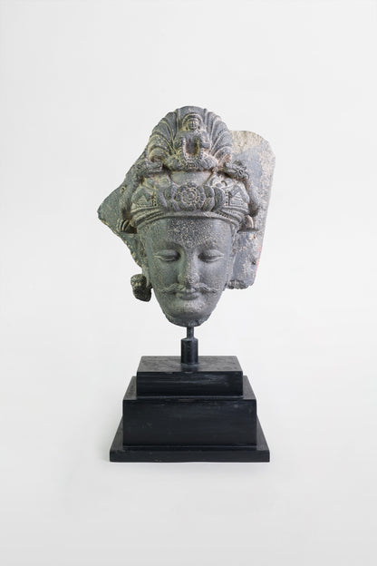 Gandharanischer Bodhisattva-Kopf – Indien, 2.–3. Jahrhundert