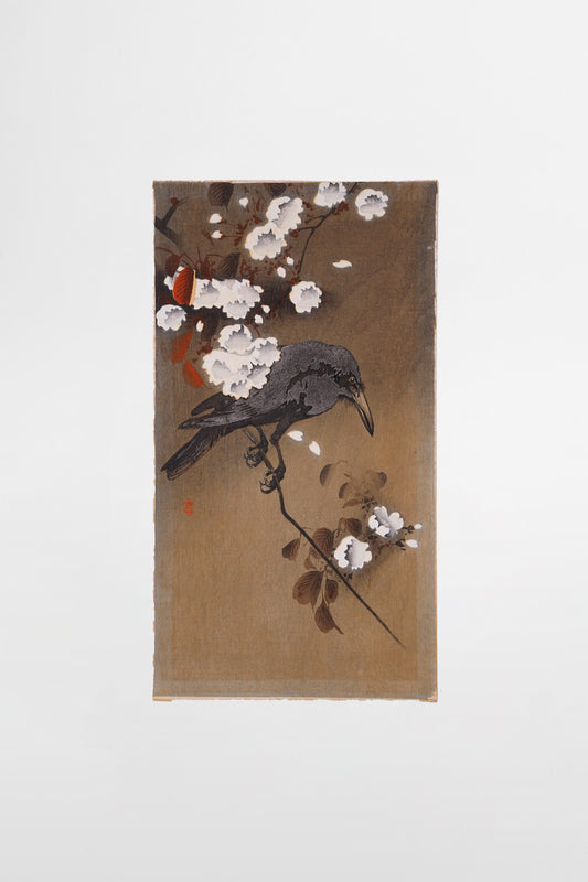 Ohara Koson: Krähe und Kirschblüten – Japan, frühes 20. Jahrhundert