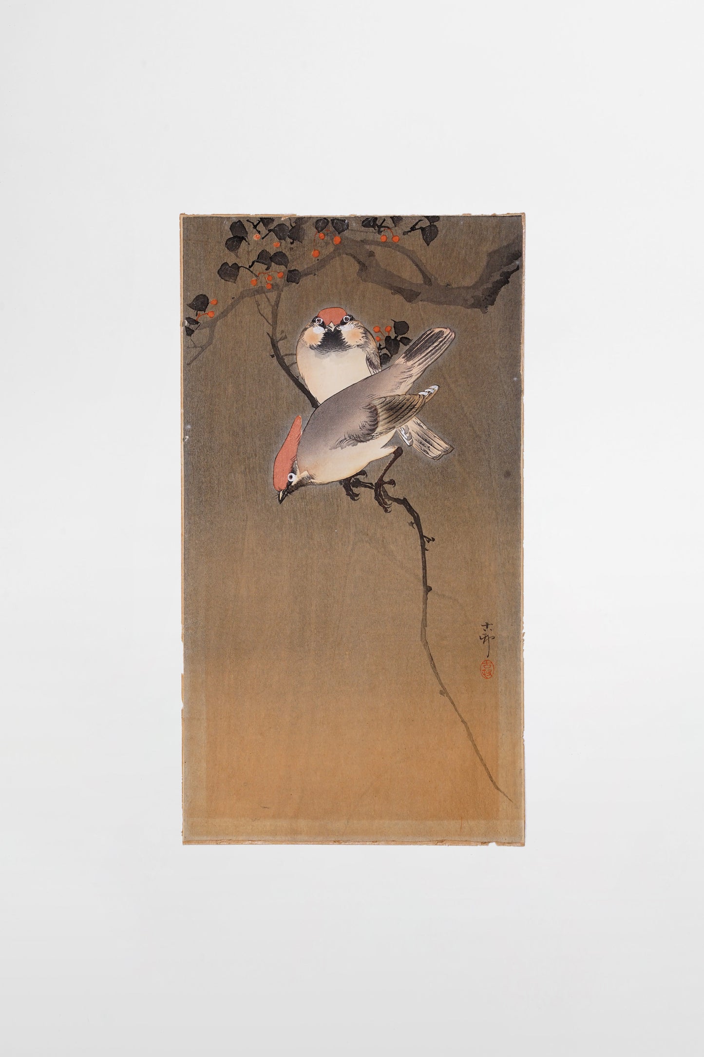 Ohara Koson: Zwei Seidenschwänze auf einem Zweig – Japan, frühes 20. Jahrhundert